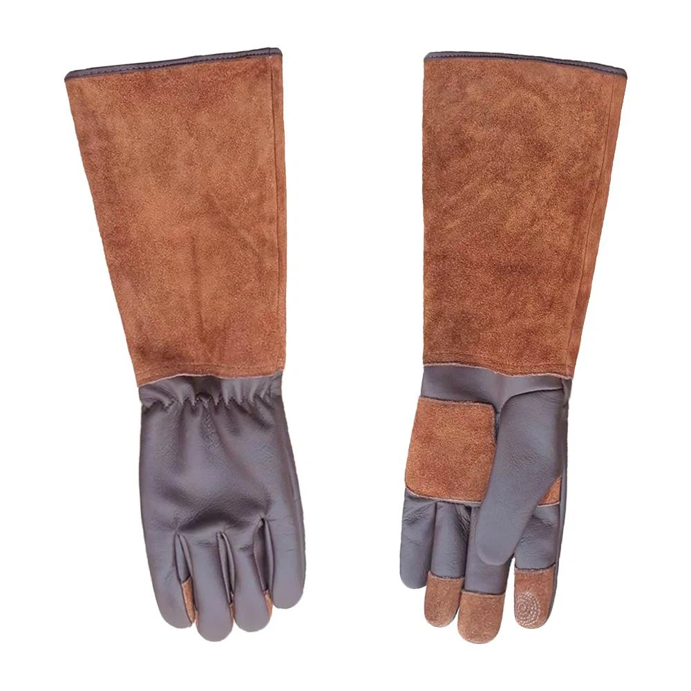 info-1000-1000 info-1000-1000